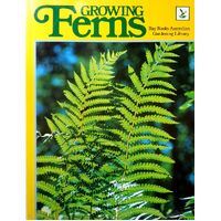 Growing Ferns