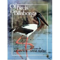 Of Birds And Billabongs