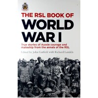 Without Warning. A Soldier's Extraordinary Journey