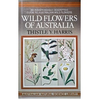 Wild Flowers Of Australia