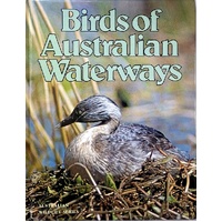 Birds Of Australian Waterways