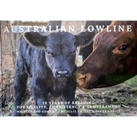 Australian Lowline. 25 Years Of Breeding For Quality, Consistency & Temperament