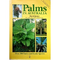 Palms In Australia