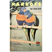 Parrots And Related Birds