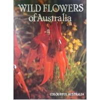 Colourful Australia Wild Flowers