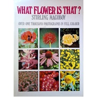 What Flower Is That