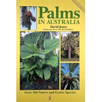 Palms In Australia