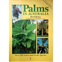 Palms In Australia