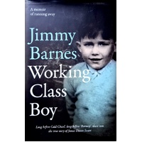 Working Class Boy