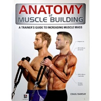 Anatomy Of Muscle Building