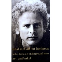 What Is It All But Luminous. Notes From An Underground Man