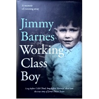 Working Class Boy