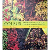 Coleus. Rainbow Foliage For Containers And Gardens