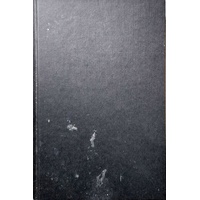 Hitler's Scapegoat. The Boy Assassin And The Holocaust