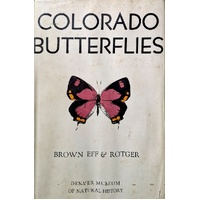 Colorado Butterflies