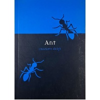 Ant