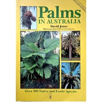 Palms In Australia