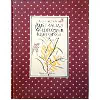 A Collection Of Australian Wildflower Illustrations