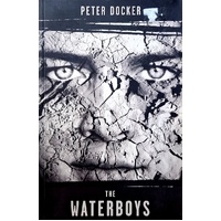 The Waterboys