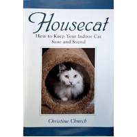 Housecat. How To Keep Your Indoor Cat Sane And Sound