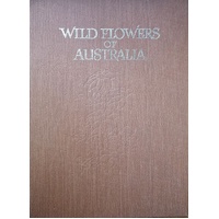 Wildflowers Of Australia