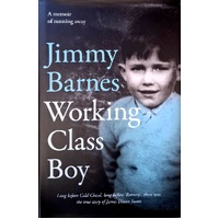 Working Class Boy
