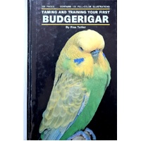 Taming And Training Your First Budgerigar