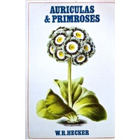 Auriculas And Primroses