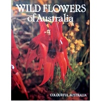 Colourful Australia Wild Flowers