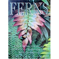 Ferns. A Comprehensive Guide To Growing Ferns For The Home Gardener