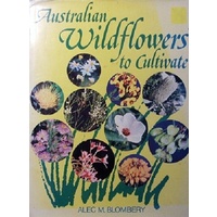 Australian Wildflowers To Cultivate