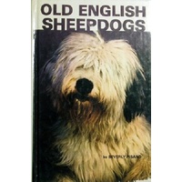 Old English Sheepdogs