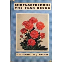 Chrysanthemums The Year Round