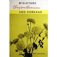 Miniature Chrysanthemums And Koreans