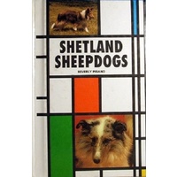 Shetland Sheepdogs