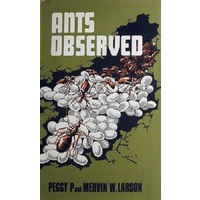 Ants Observed