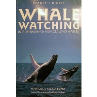Whale Watching. In Australian And New Zealand Waters