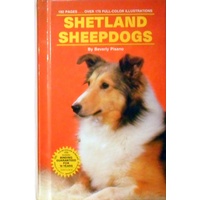 Shetland Sheepdogs