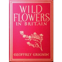 Wild Flowers In Britain