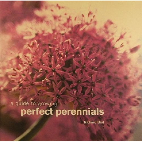 A Guide To Growing Perennials