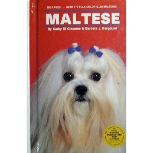 Maltese