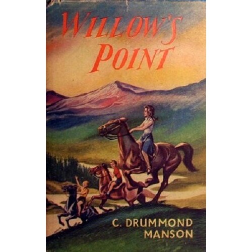 Willow's Point
