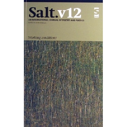 Salt 12. An International Journal of Poetry and Poetics (Salt International Journal of Poetry & Poetics)