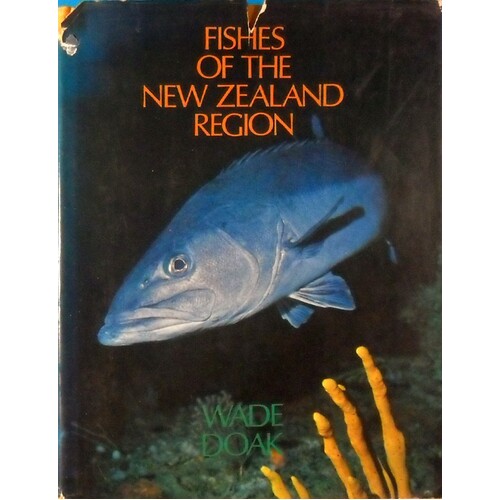 Fishes Of The New Zealand Region