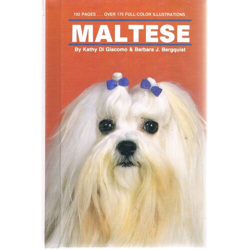 Maltese