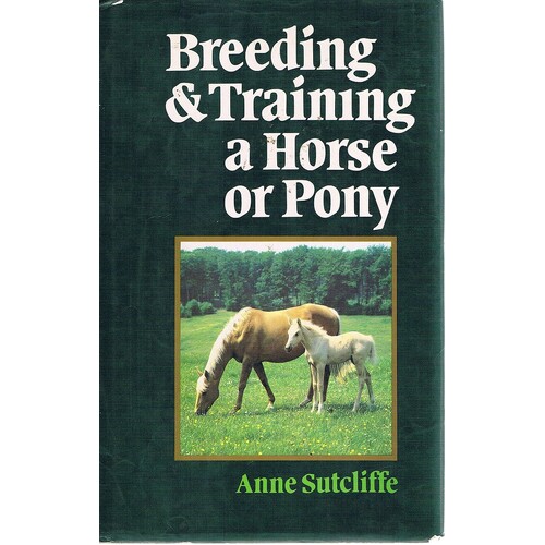 Breeding And Training A Horse Or Pony