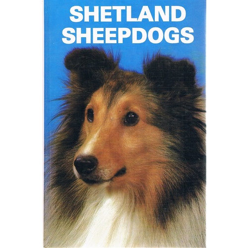 Shetland Sheepdogs