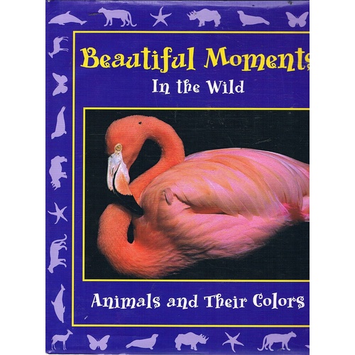 Beautiful Moments In The Wild. Animals And Their Colors