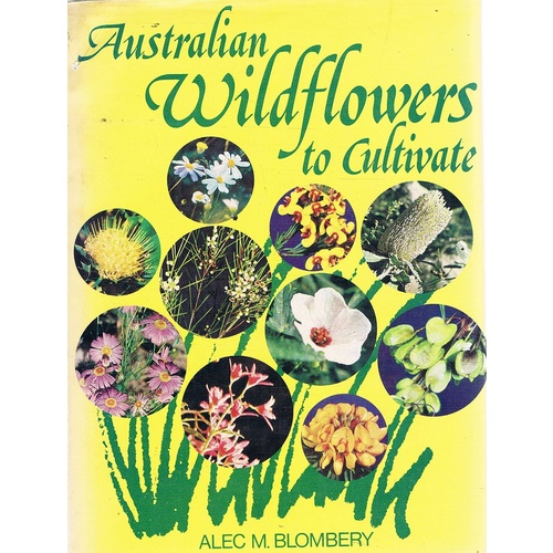 Australian Wildflowers To Cultivate
