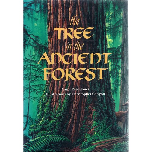 The Tree In The Ancient Forest